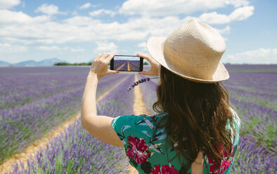 Frankreich, Provence, Hochebene von Valensole, Frau macht Smartphone-Foto in Lavendelfeldern im Sommer - GEMF02150