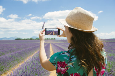 Frankreich, Provence, Hochebene von Valensole, Frau macht Smartphone-Foto in Lavendelfeldern im Sommer - GEMF02151
