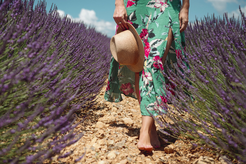 Frankreich, Provence, Hochebene von Valensole, Barfüßige Frau inmitten von Lavendelfeldern im Sommer, lizenzfreies Stockfoto