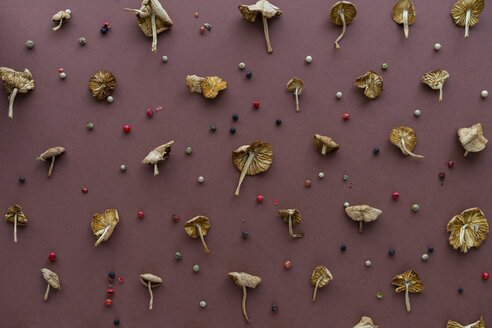 Arrangement of mushrooms and peppercorns - AFVF00816