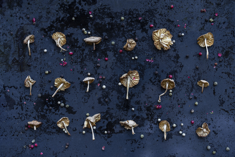 Arrangement of dried mushrooms and peppercorns stock photo
