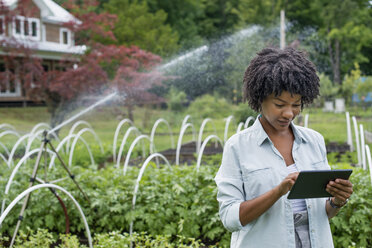 An organic horticultural nursery and farm outside Woodstock. A woman holding a digital tablet. - MINF00104