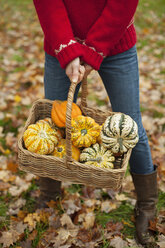 A woman in a red knitted jumper holding a basket of vegetables, gourds and squashes. Organic farming. - MINF00140