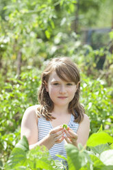 Ein junges Mädchen sitzt inmitten des frischen Grüns eines Gartens. Gemüse und Blumen. Frisches Gemüse pflücken. - MINF00153
