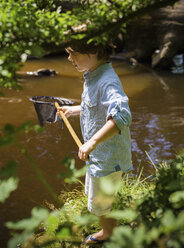 Ein kleiner Junge mit einem Fischernetz in der Hand an einem seichten Fluss beim Camping im New Forest. - MINF00207