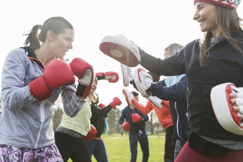 Entschlossene Frauen boxen im sonnigen Park - CAIF21182