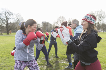 Menschen boxen im sonnigen Park - CAIF21187