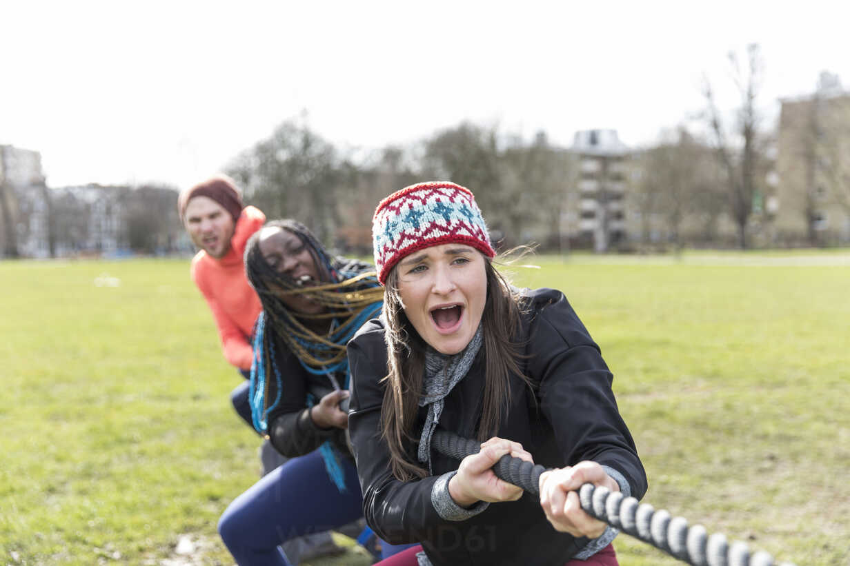 Determined team pulling rope in tug-of-war at park, Stock Photo, Picture  And Royalty Free Image. Pic. CIE-412-43033
