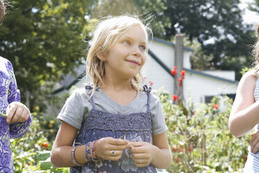 Drei Kinder in einem Garten, die Gemüse pflücken. - MINF00221