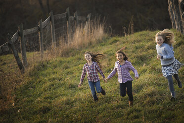 Three children running down a hill on an organic farm. - MINF00226