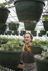 Spring growth in an organic plant nursery. A man in a glasshouse planting containers. - MINF00230