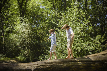 Zwei Jungen, die im New Forest zelten, laufen auf einem Baumstamm über dem Wasser und balancieren mit ausgestreckten Armen. - MINF00250