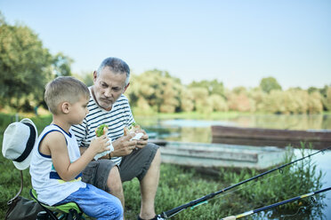 Grandfather and grandson eating sandwiches together at lakeshore - ZEDF01487