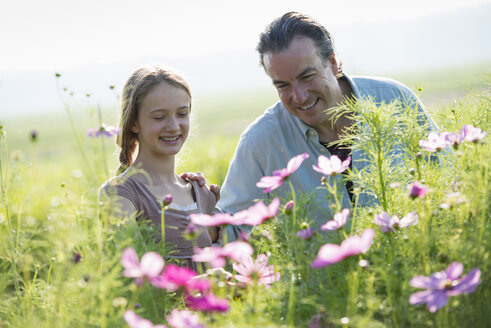 Sommer auf einem Bio-Bauernhof: Ein Mann und ein Mädchen in einem Blumenfeld. - MINF00261