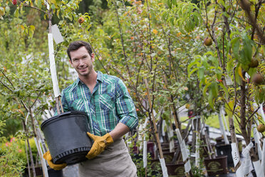 Ein Mann arbeitet in einer Bio-Gärtnerei und trägt einen jungen Baum in einem Topf. - MINF00323