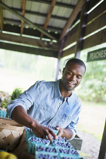 Ein Mann sortiert Körbe mit Blaubeeren auf einem Bio-Obst- und Gemüsehof. - MINF00371