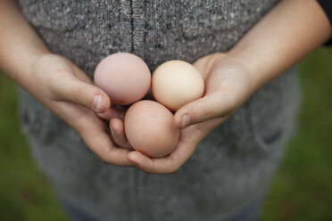 A person holding a clutch of fresh organic hen's eggs. - MINF00414