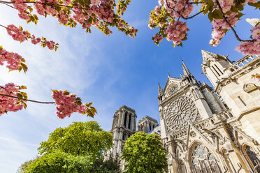 Frankreich, Paris, Kirche Notre Dame im Frühling - WDF04703