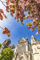 Frankreich, Paris, Kirche Notre Dame im Frühling - WDF04704