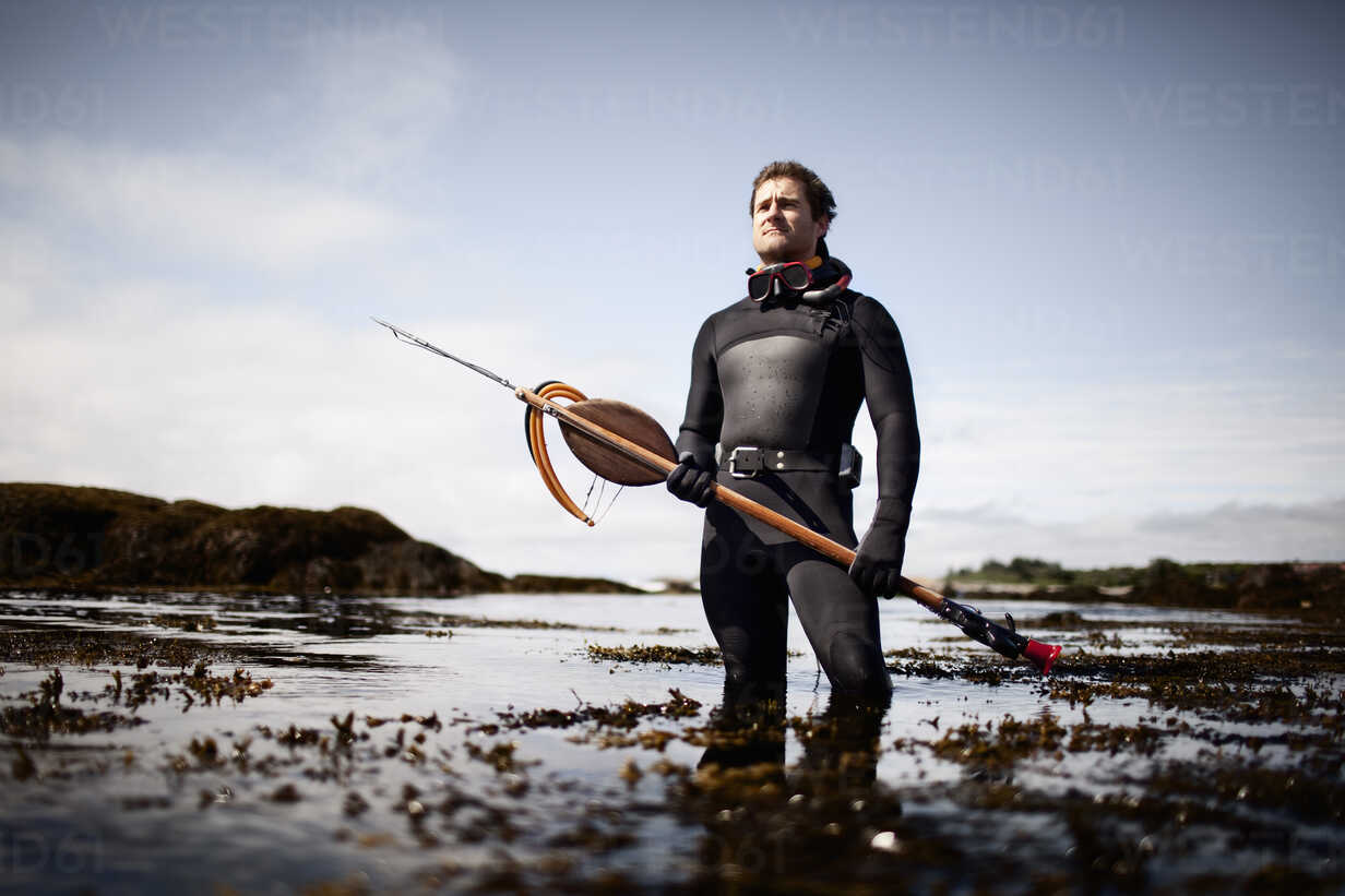 A man in a wetsuit, standing on the shore with a large spear fishing harpoon.  stock photo