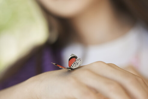 Ein Kind begutachtet einen Schmetterling, der auf seiner Hand gelandet ist. - MINF00477