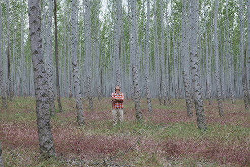 Ein Mann in einem Pappelwald, Oregon, USA. - MINF00497