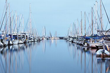 Im Hafen vertäute Boote, Santa Barbara - CUF43587