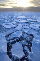 Eisscholle im Südlichen Ozean, 180 Meilen nördlich der Ostantarktis, Antarktis - CUF43595