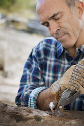 Ein Mann bereitet das Holz vor, indem er alle Nägel und Bolzen entfernt. - MINF00521