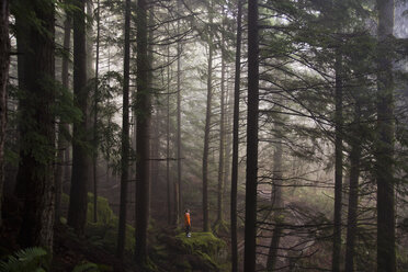 A man stands on a mossy rock overlooking a thick forest on a foggy morning near North Bend, Washington. - MINF00535