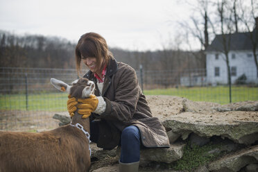 Ein kleiner Bio-Milchviehbetrieb mit einer gemischten Kuh- und Ziegenherde und einem Landwirt, der sich um die Tiere kümmert. - MINF00546