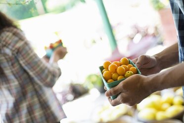 A farm growing and selling organic vegetables and fruit. A man and woman working together. - MINF00589