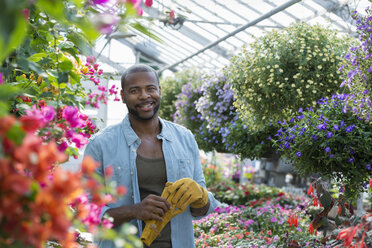 Ein kommerzielles Gewächshaus in einer Gärtnerei, in dem Bio-Blumen gezüchtet werden; ein Mann arbeitet, kontrolliert und pflegt die Blumen. - MINF00628