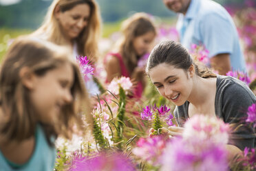 Five people among the flowers at an organic Flower Farm. - MINF00716