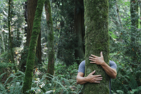 Man hugging tree in lush, green forest stock photo