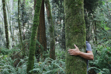 Man hugging tree in lush, green forest - MINF00730