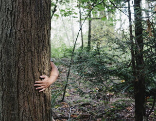 Man hugging tree in lush, green forest - MINF00731