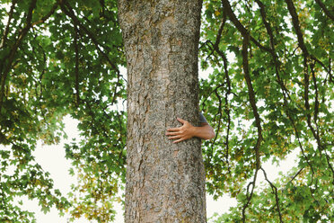 Man hugging tree - MINF00735