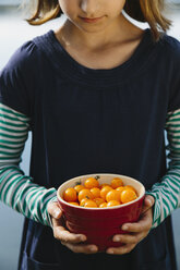 Nine year old girl holding bowl of organic yellow cherry tomatoes - MINF00740