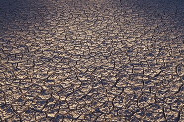 Trockene, rissige Wüstenoberfläche, Black Rock Desert in Nevada, USA - MINF00835