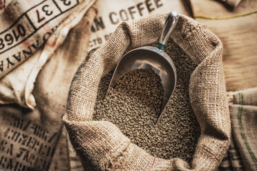 Volle hessische Säcke mit Bohnen und eine Metallschaufel in einem Schuppen zur Verarbeitung von Kaffeebohnen auf einer Farm. - MINF00848