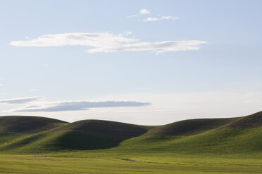 Rolling green hills and farmed land at dusk. - MINF00875