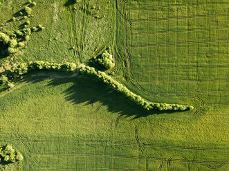 Russland, Zentralrussland, grüne Wiese und Bäume - KNTF01144