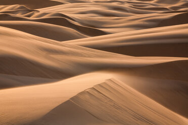 Namib Desert, Namibia - MINF00884