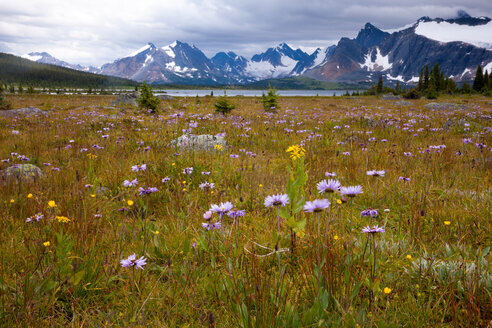 Jasper-Nationalpark, Alberta, Kanada - MINF00894