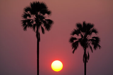 Sonnenuntergang, Botswana - MINF00926