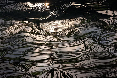 Terrassenförmige Reisfelder, Yuanyang, China - MINF00939
