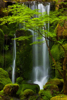 Wasserfall, Columbia River Gorge, Oregon, USA - MINF00952