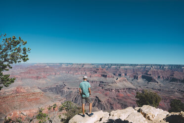 USA, Arizona, Grand Canyon National Park, back view of man looking at view - GEMF02168