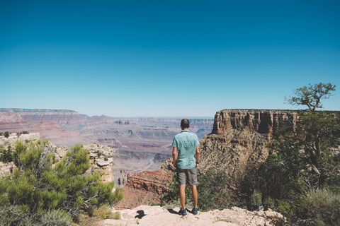 USA, Arizona, Grand Canyon National Park, Grand Canyon, Rückenansicht eines Mannes mit Blick auf die Aussicht, lizenzfreies Stockfoto